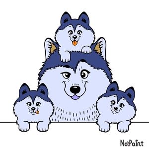 Meet your Posher, Cindi